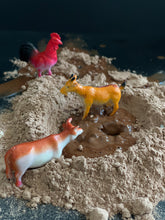 Load image into Gallery viewer, Taste Safe Sand
